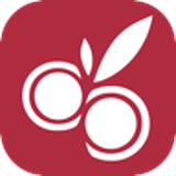 CherryCasino Logo